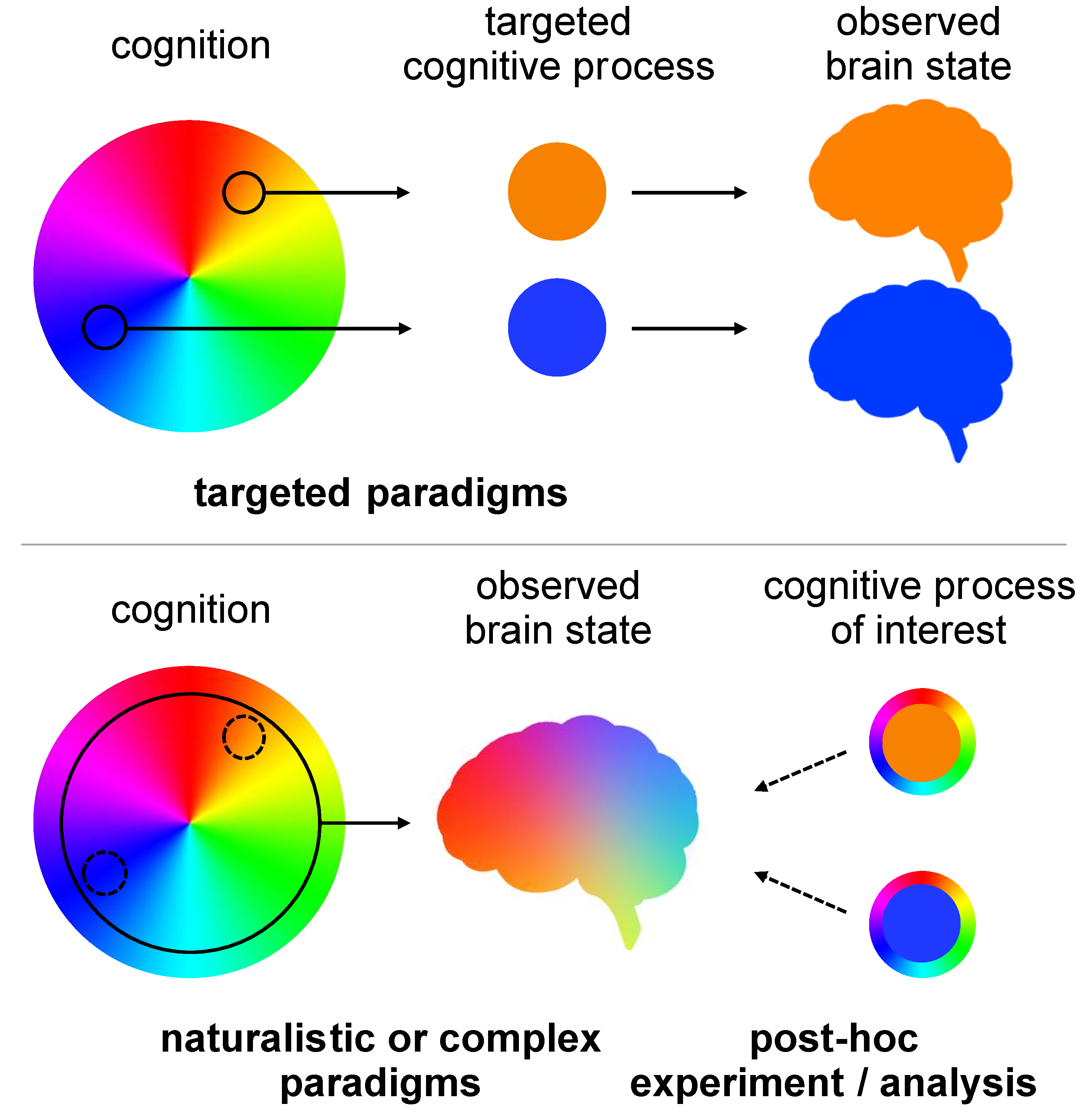 Naturalistic research